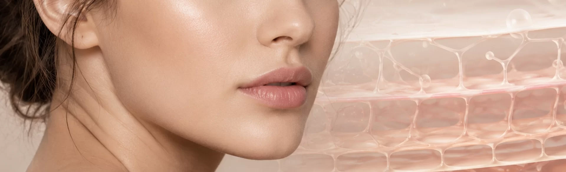 Skin microarchitecture