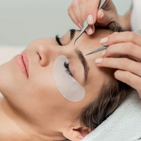 LASHES AND BROWS STYLINGE